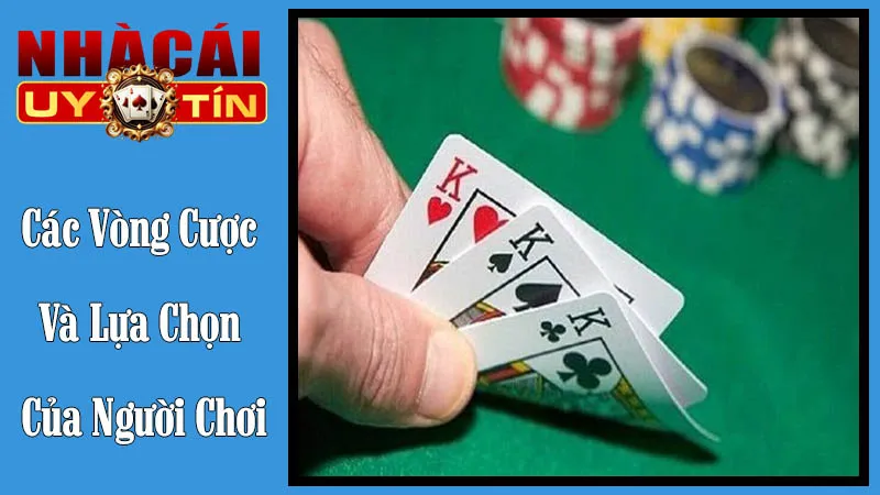 Các Vòng Cược Và Lựa Chọn Của Người Chơi Các Vòng Cược Và Lựa Chọn Của Người Chơi