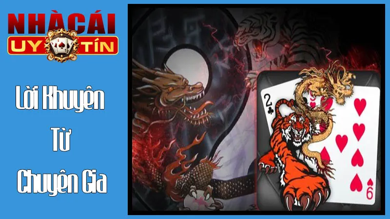 Lời Khuyên Từ Chuyên Gia Của Chúng Tôi Lời Khuyên Từ Chuyên Gia Của Chúng Tôi