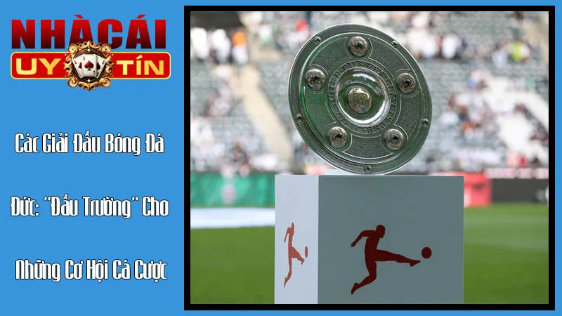 Các Giải Đấu Bóng Đá Đức: "Đấu Trường" Cho Những Cơ Hội Cá Cược Các Giải Đấu Bóng Đá Đức: "Đấu Trường" Cho Những Cơ Hội Cá Cược