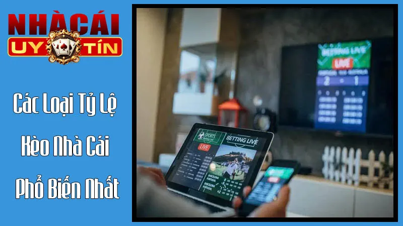 Các Loại Tỷ Lệ Kèo Nhà Cái Phổ Biến Nhất Các Loại Tỷ Lệ Kèo Nhà Cái Phổ Biến Nhất