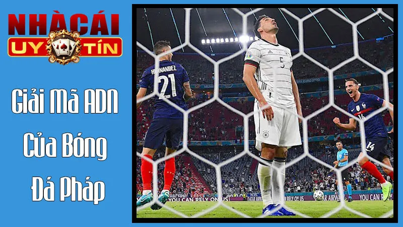 Giải Mã ADN Của Bóng Đá Pháp: Nơi Khởi Nguyên Của Những Điều Khác Biệt Giải Mã ADN Của Bóng Đá Pháp: Nơi Khởi Nguyên Của Những Điều Khác Biệt