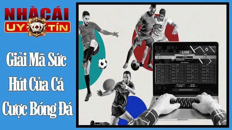 Giải Mã Sức Hút Của Cá Cược Bóng Đá Giải Mã Sức Hút Của Cá Cược Bóng Đá