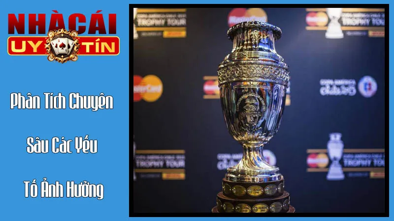 Phân Tích Chuyên Sâu Các Yếu Tố Ảnh Hưởng