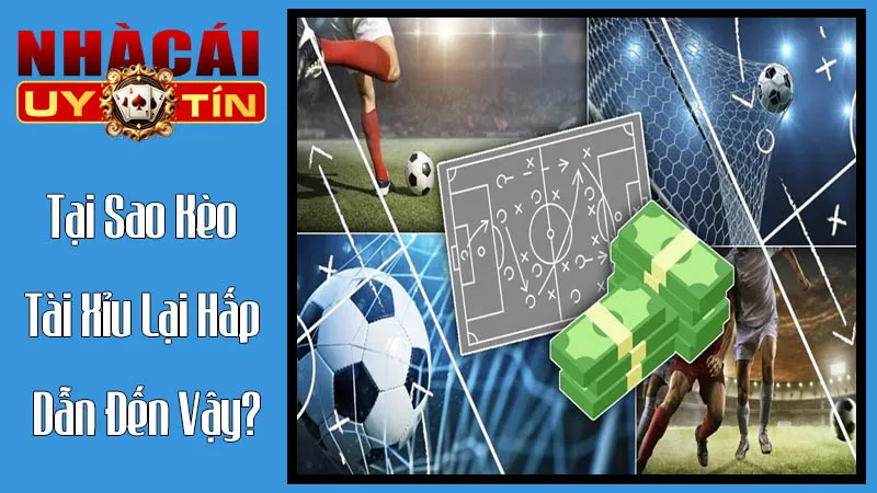 Tại Sao Kèo Tài Xỉu Lại Hấp Dẫn Đến Vậy?