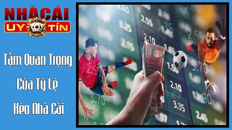 Tầm Quan Trọng Của Tỷ Lệ Kèo Nhà Cái Trong Cá Cược Tầm Quan Trọng Của Tỷ Lệ Kèo Nhà Cái Trong Cá Cược