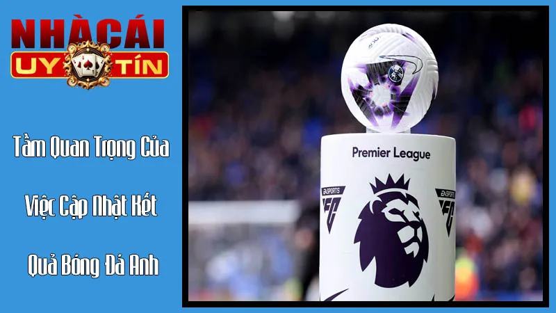 Tầm Quan Trọng Của Việc Cập Nhật Kết Quả Bóng Đá Anh Nhanh Chóng Tầm Quan Trọng Của Việc Cập Nhật Kết Quả Bóng Đá Anh Nhanh Chóng
