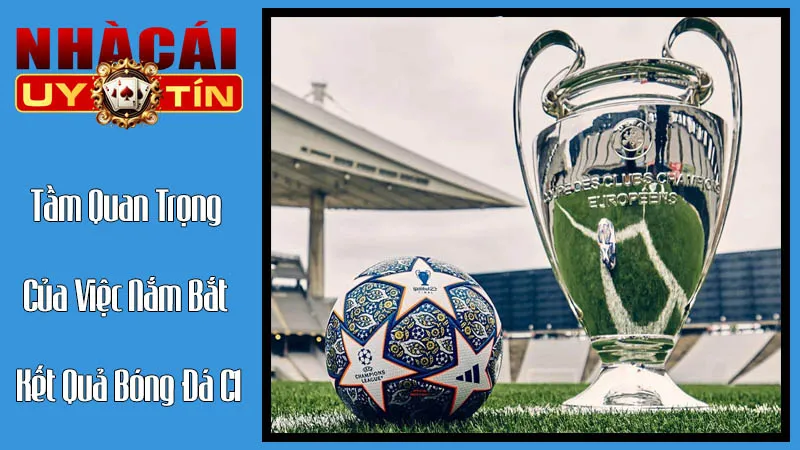 Tầm Quan Trọng Của Việc Nắm Bắt Kết Quả Bóng Đá C1 Tầm Quan Trọng Của Việc Nắm Bắt Kết Quả Bóng Đá C1