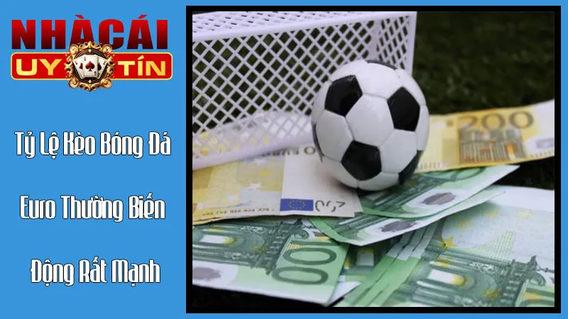 Tỷ Lệ Kèo Bóng Đá Euro Thường Biến Động Rất Mạnh Tỷ Lệ Kèo Bóng Đá Euro Thường Biến Động Rất Mạnh
