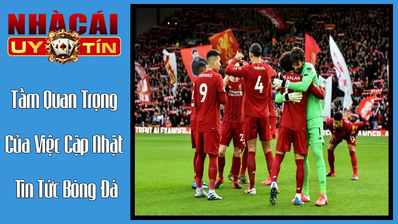 Tầm Quan Trọng Của Việc Cập Nhật Tin Tức Bóng Đá Thường Xuyên Tầm Quan Trọng Của Việc Cập Nhật Tin Tức Bóng Đá Thường Xuyên